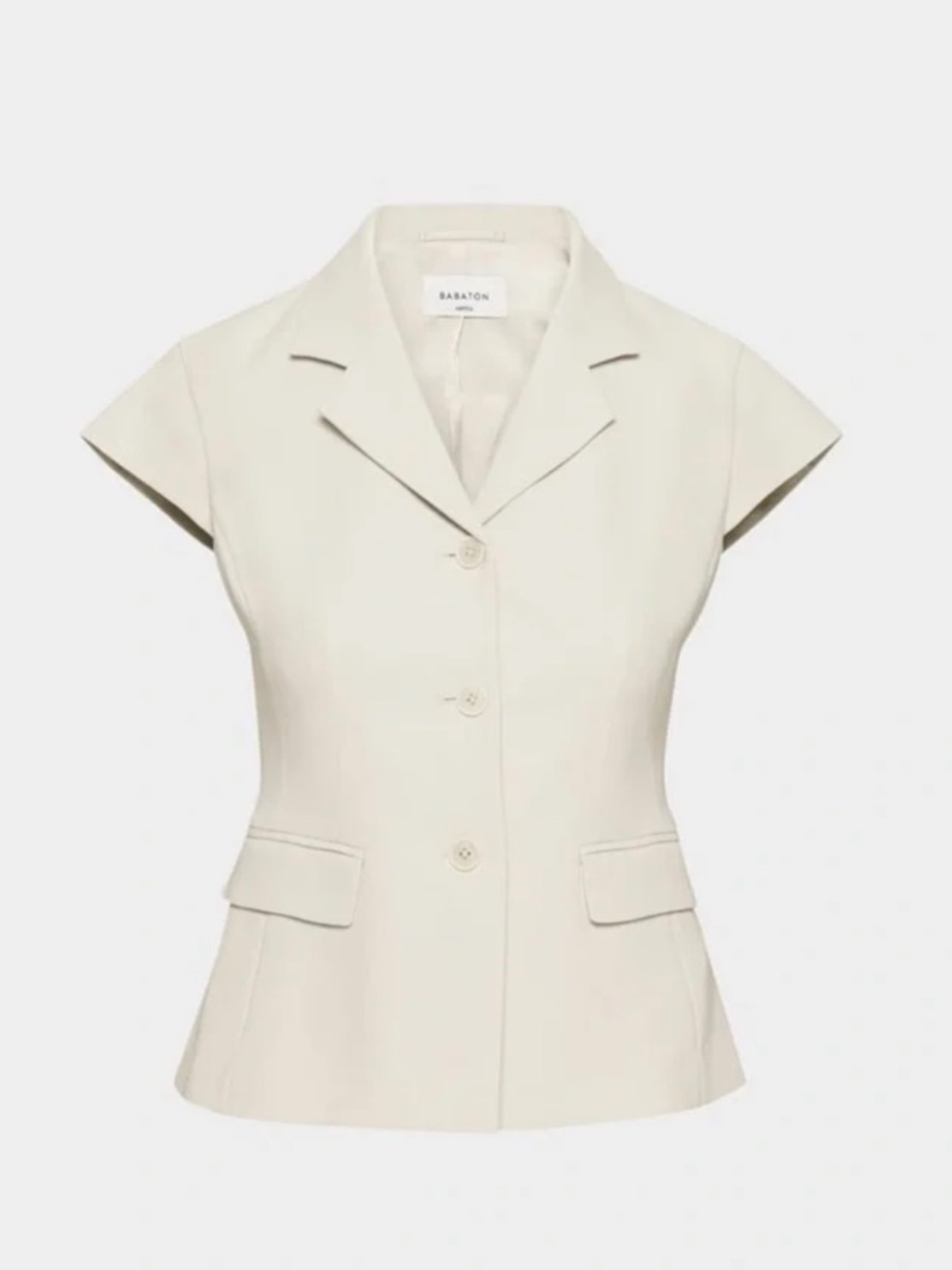 Aritzia Babaton Domain Blazer